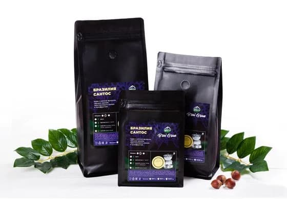 Бразилия Сантос